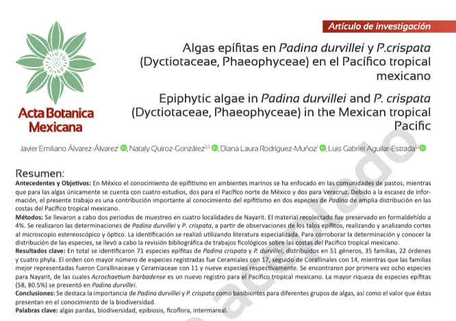 Proyecto de Creación de Artículo Científico