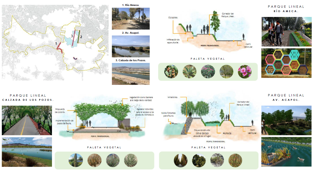 "El intercambio socio-cultural con los asentamientos iregulares de la CDMX"