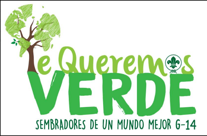 reforestación, playatón, plogging y el amor al medio ambiente 