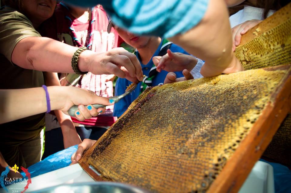 Youth Entrepreneurship and Community Involvement in Rural Hunedoara