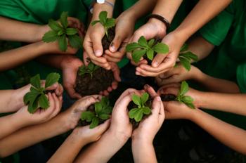 #_WPD........ WORLD PLANTATION DAY 2017