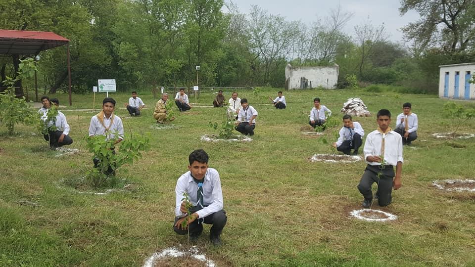 More Clean and More Green Pakistan