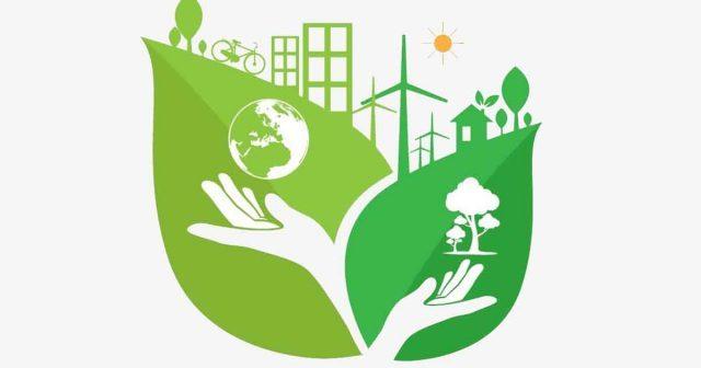 Clean and Green Campaign