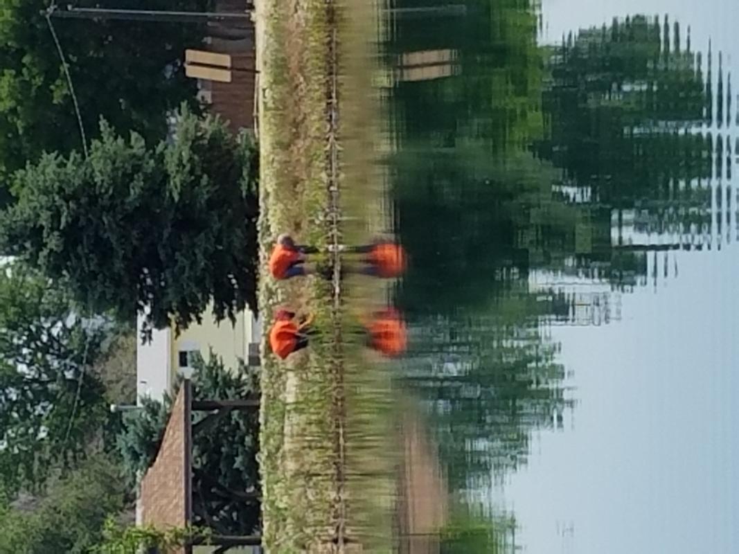 Pond/Park Clean Up