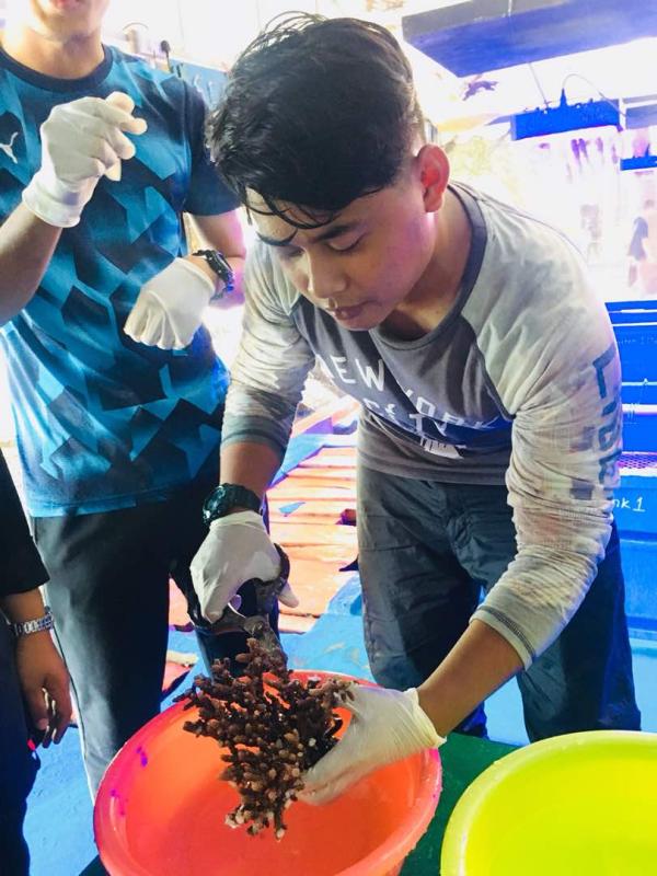 CORAL REEF PROPAGATION AND PLANTING