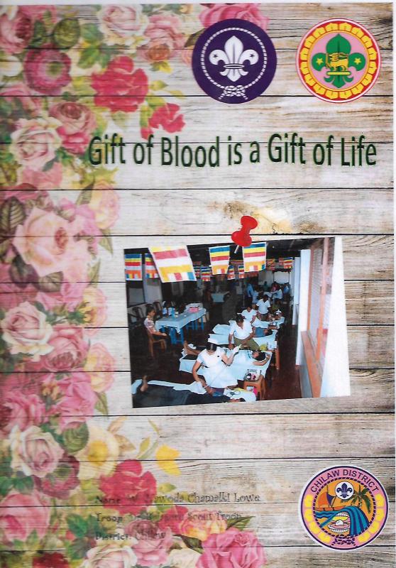 President's Scout Project