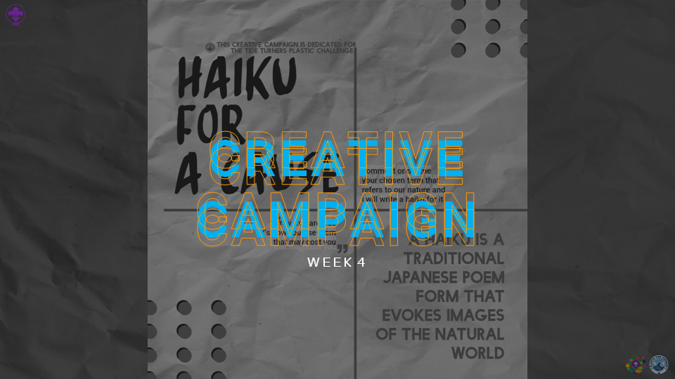 Creative Campaign: Week 4 [TTPC]