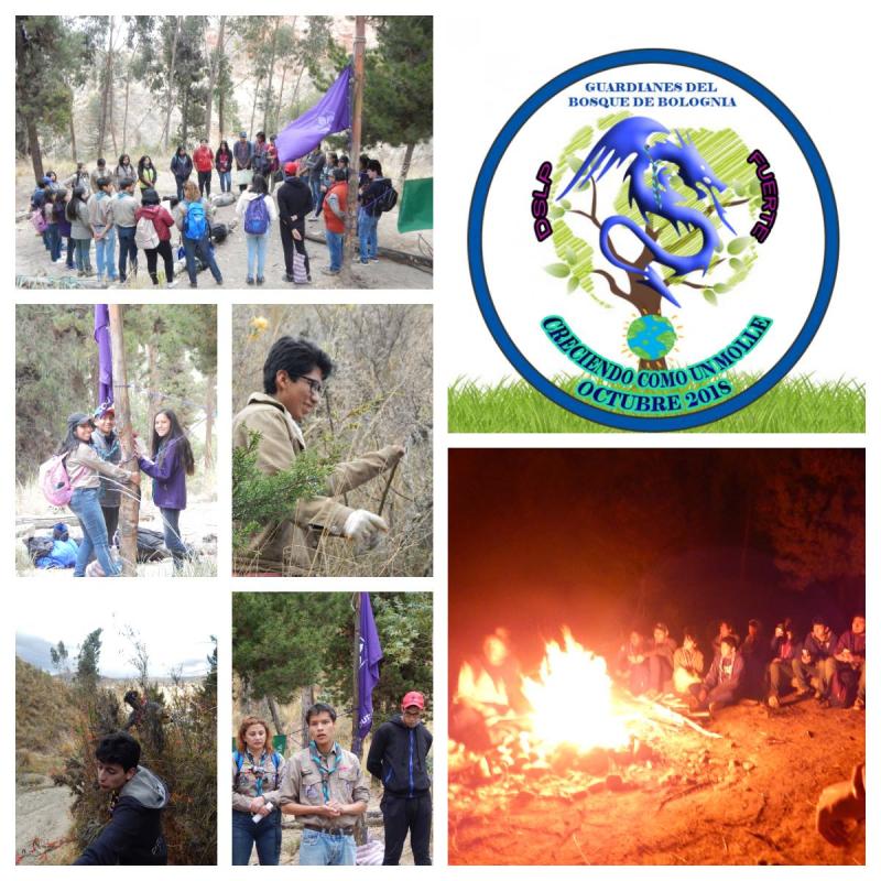 Sensibilización y cuidados del medio ambiente con niños de 8 a 13 años en el "Área Protegida del Bosque de Bolognia"- Creciendo como un Molle