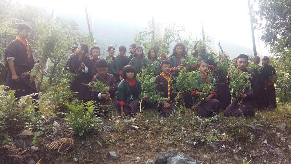 Marijuana uprooting program