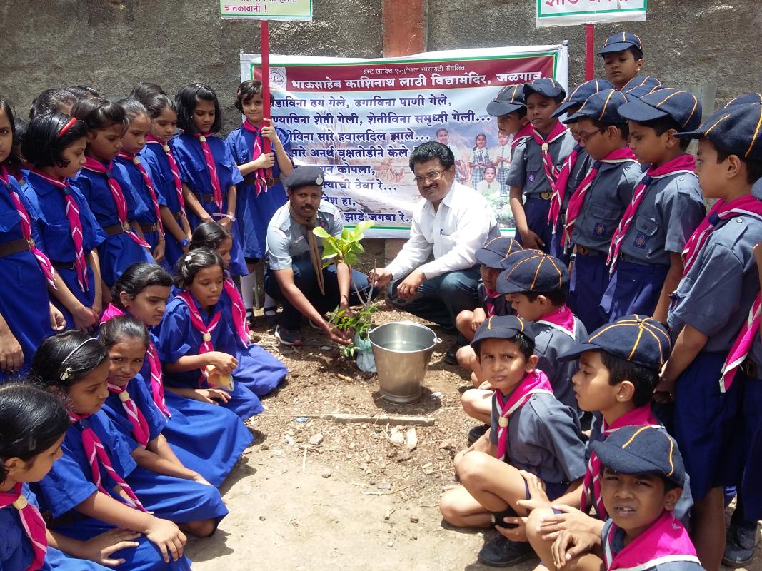  Tree Plantation Programme 