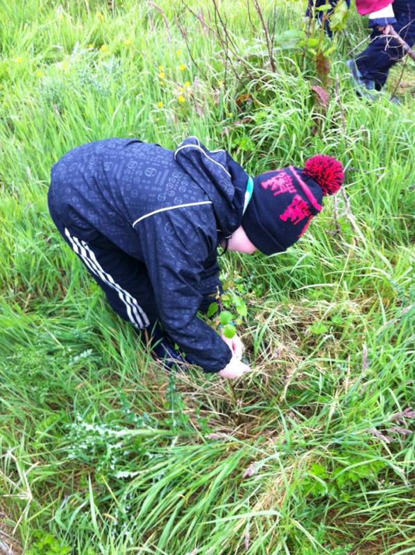 Community Tree Planting