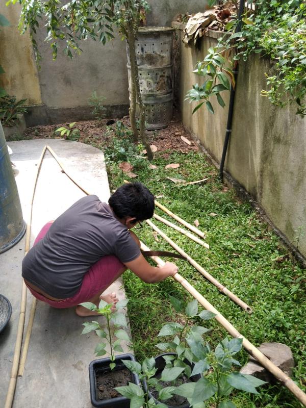 Compost bin using natural materials