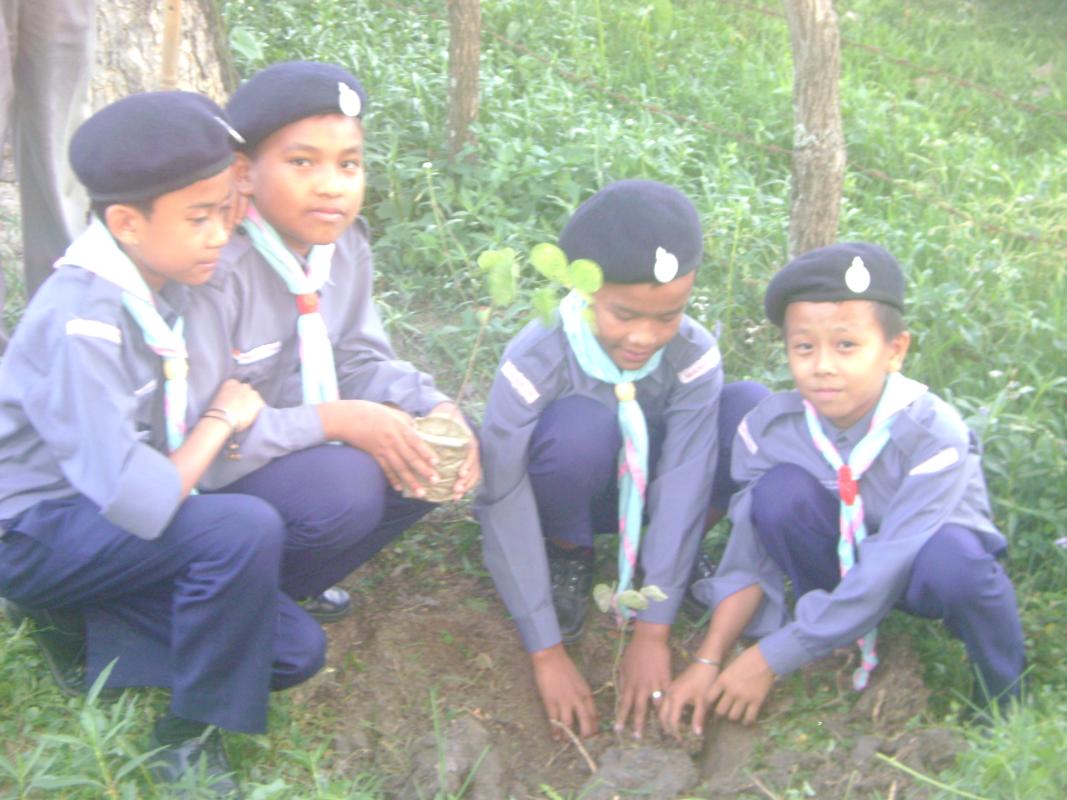 World Environment Day