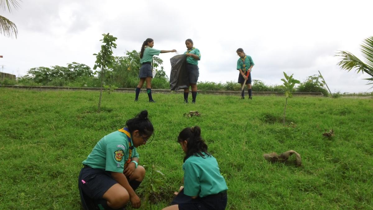 limpieza de la comunidad
