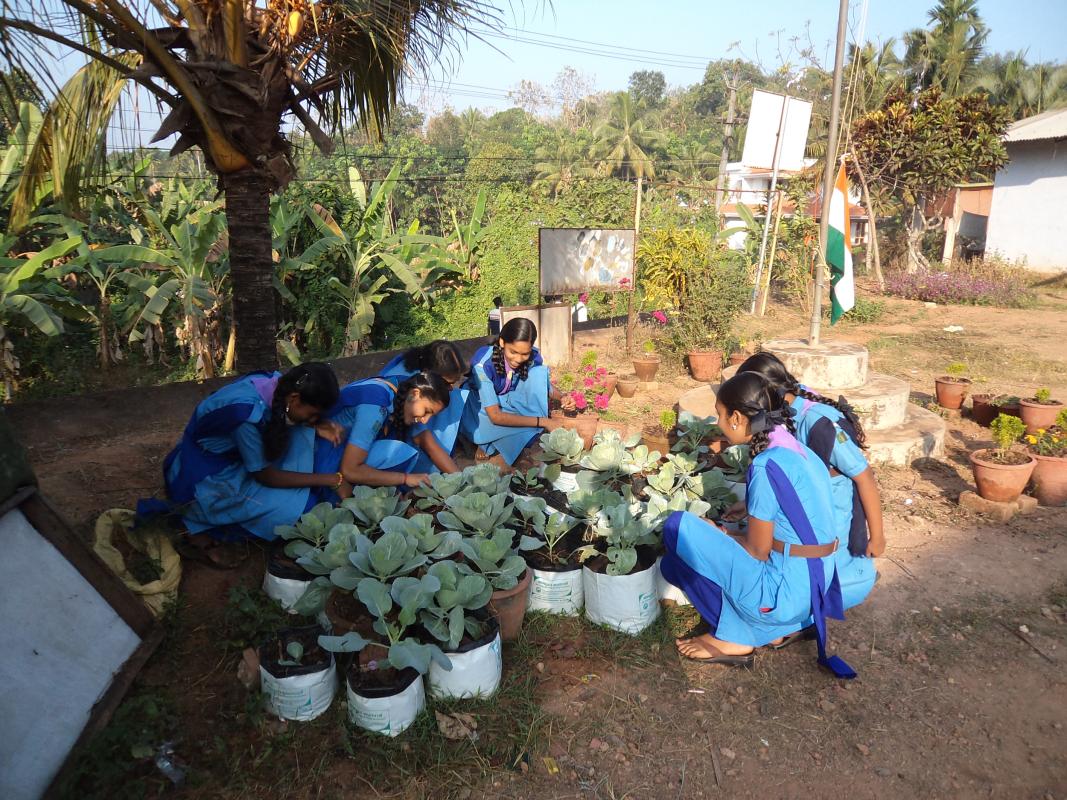 COMMUNITY DEVELOPMENT AND ROAD SAFETY