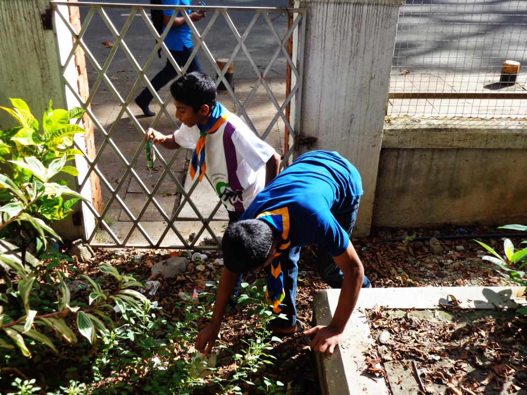 Cleaning a potential dengue  mosquito breeding site