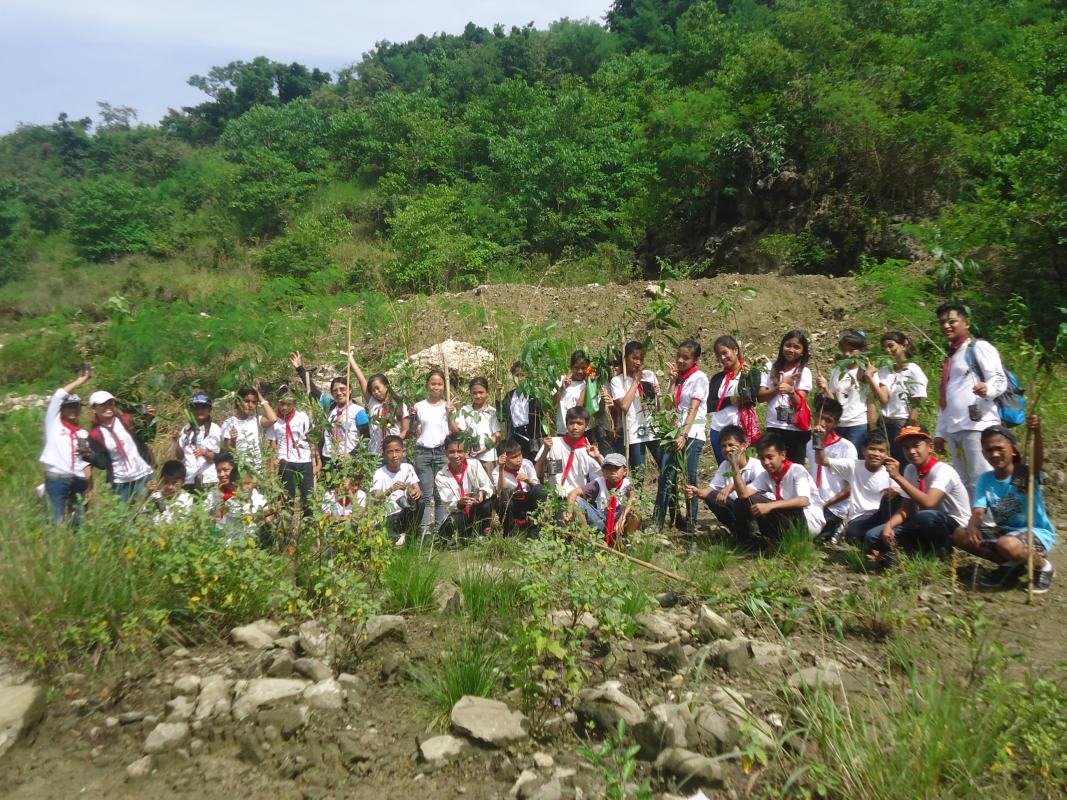 Tree Planting