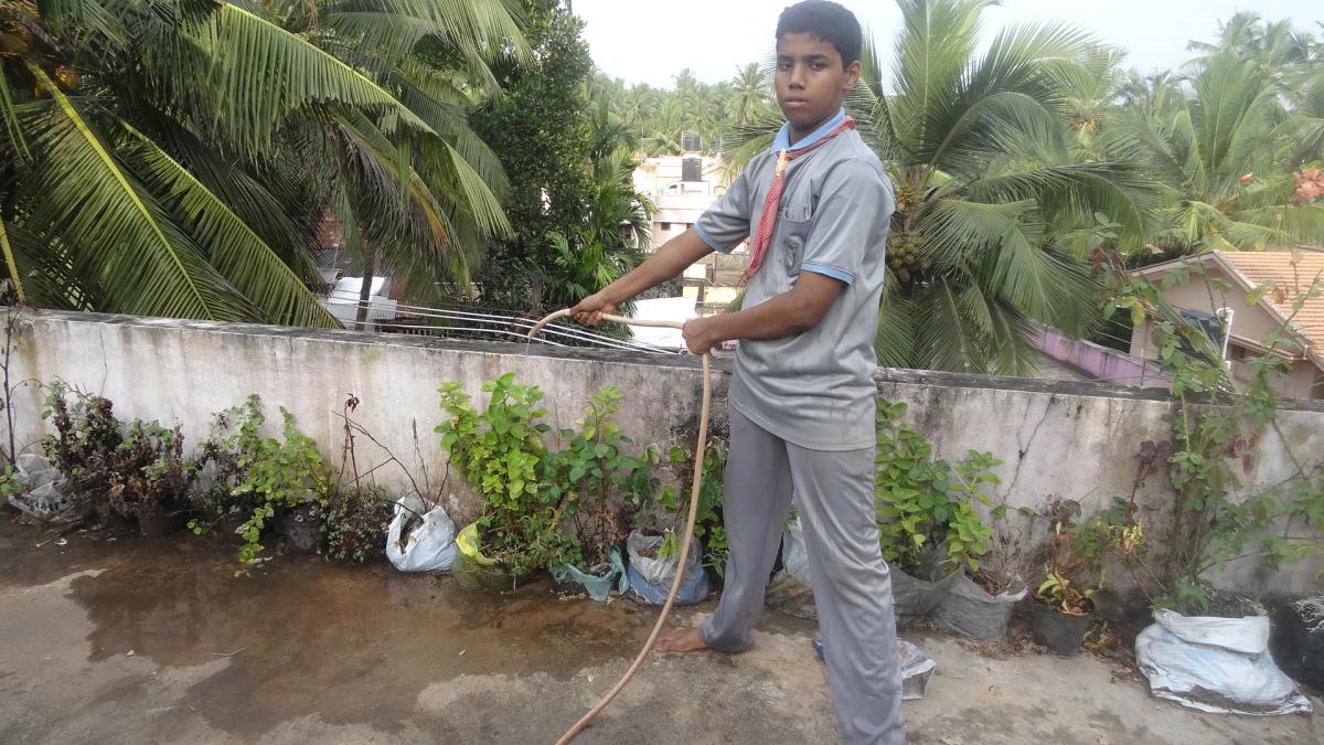 6 months project: ENSURE ENVIRONMENT SUSTAINABILITY