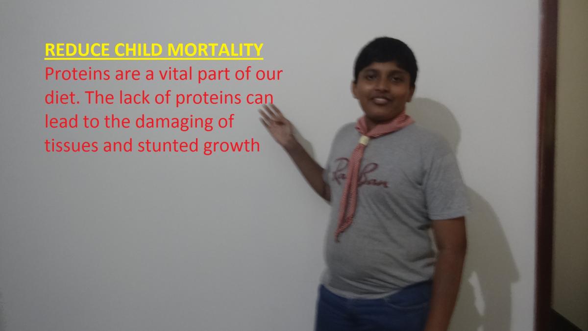   6 Month Community Development Project B) REDUCE CHILD MORTALITY 