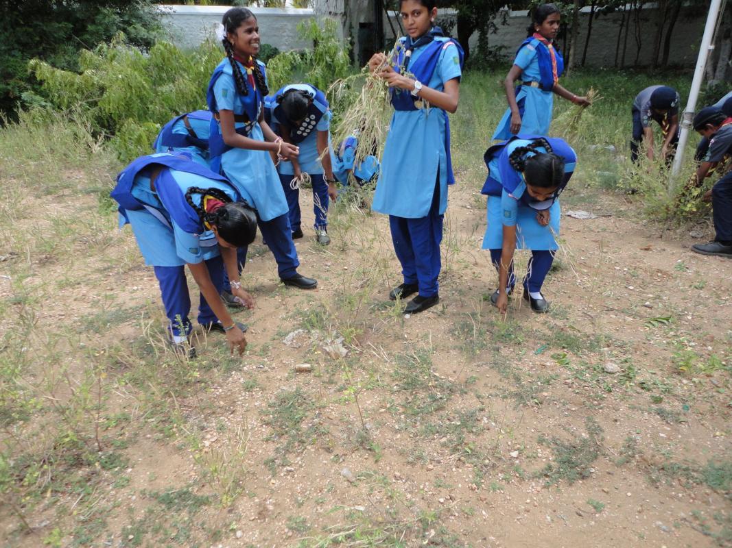 cleaning campaign