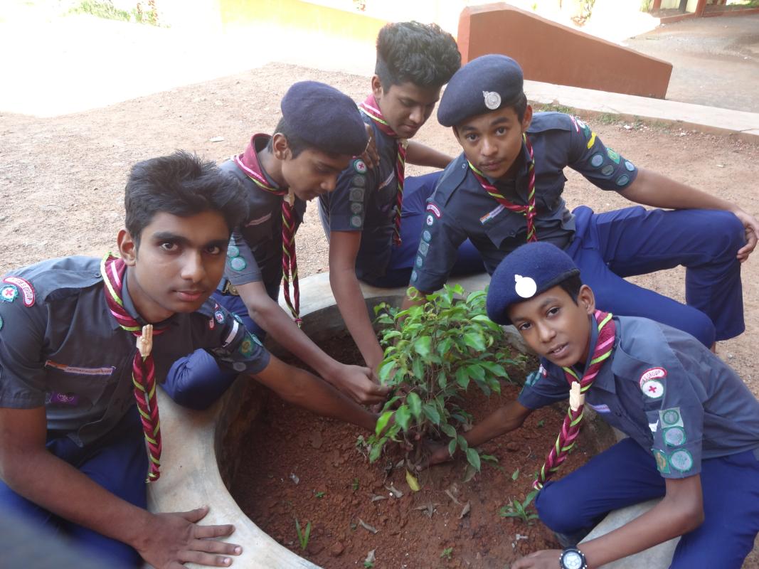 preservation of greenary