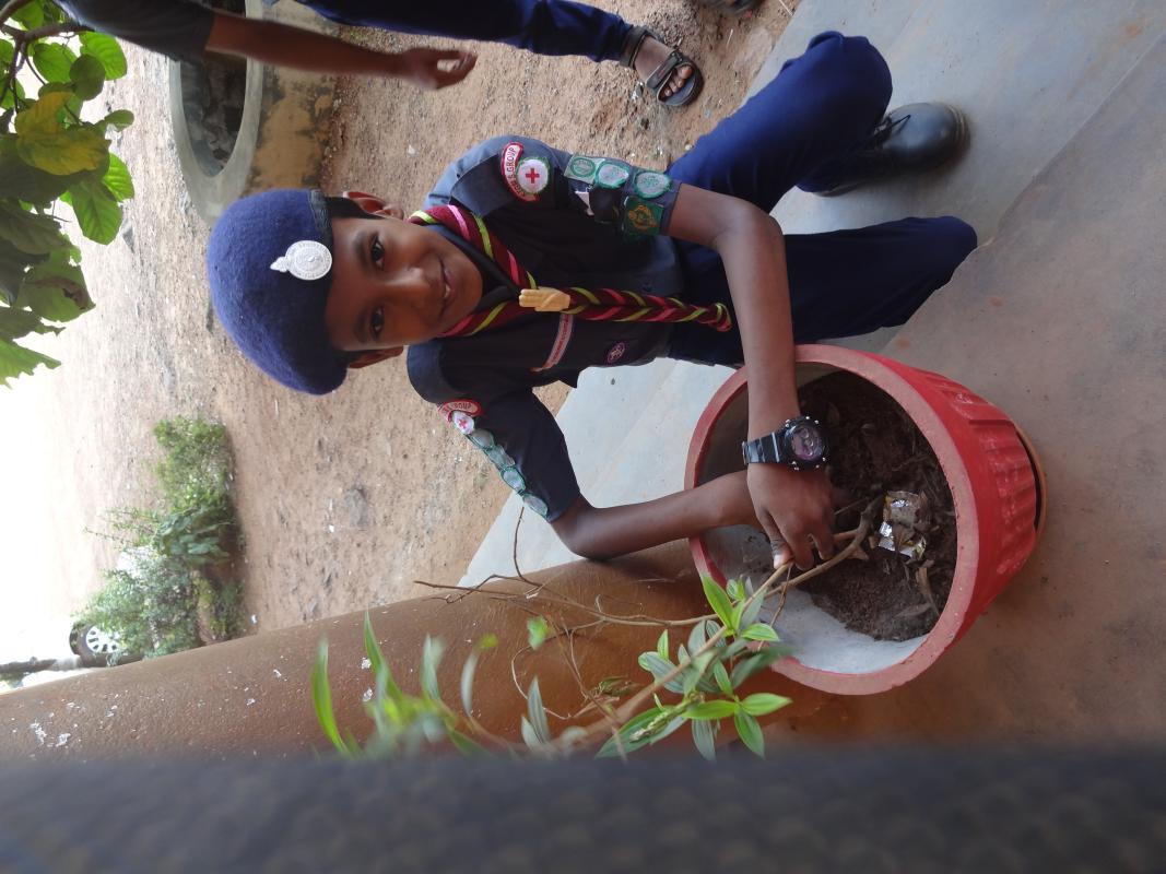 preservation of greenary