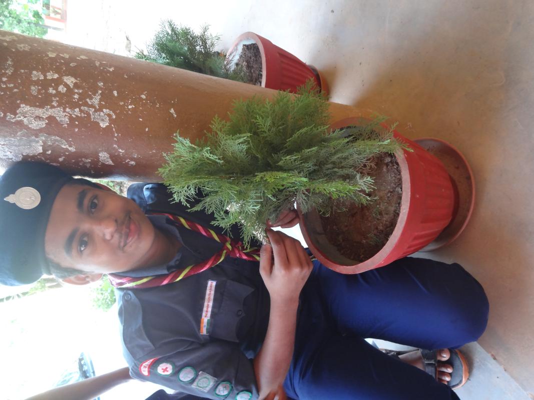preservation of greenary