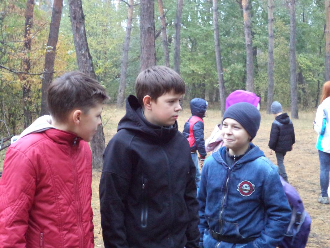 Выезд в лес