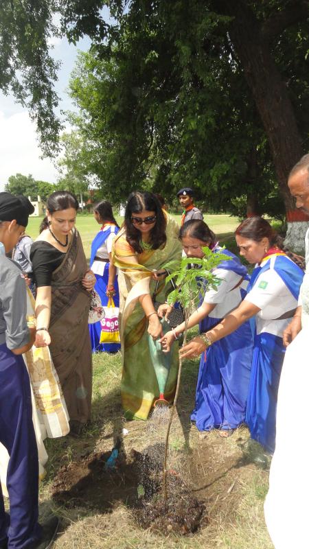 Woman's day calebration.