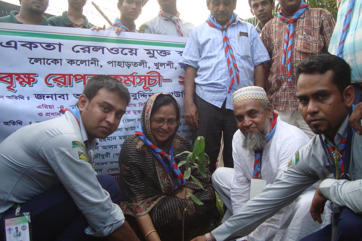 Tree Plantation