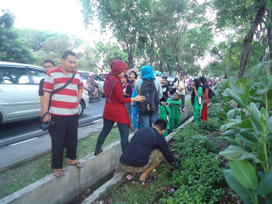 Buat Lubang Jalur resapan Dijalur hijau Surabaya, indonesia