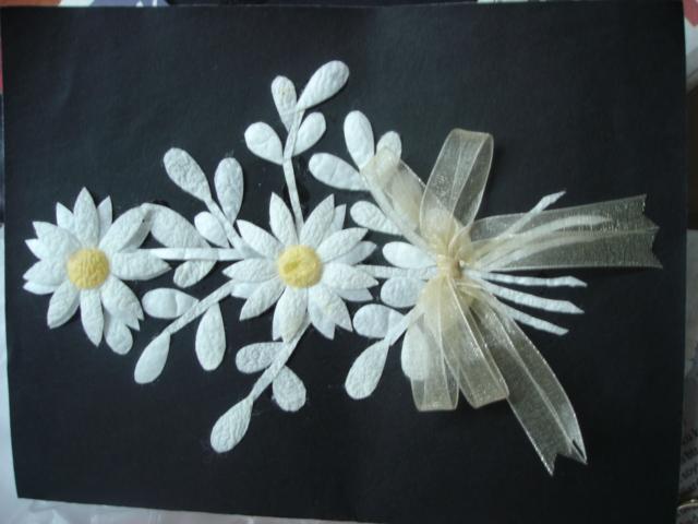 producing an art with silk cocoons after the silk butterfly left it