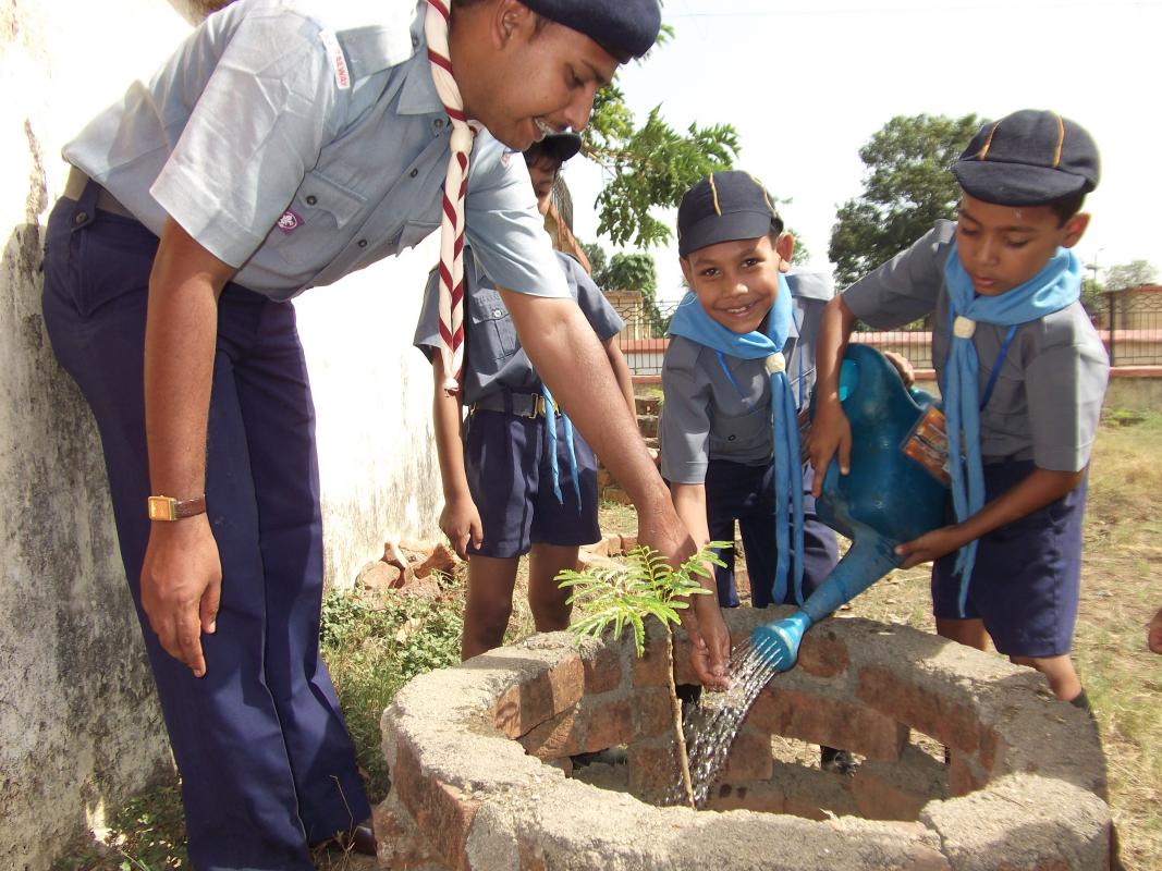 tree plantation