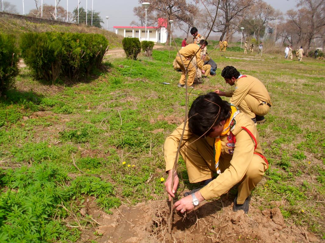 kurram scouts open group Tree plantation in scout  NHQ Islamabad after 15th national snow hike on 22 fab 2015