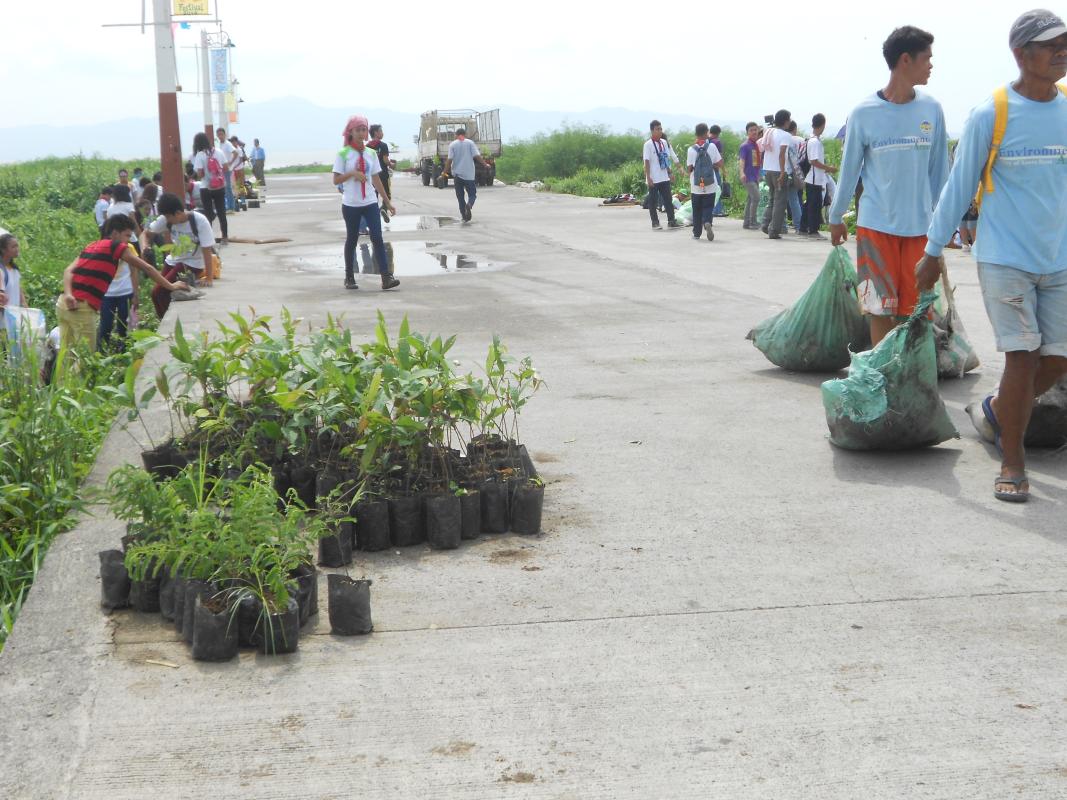 World Environment Day - Coastal Clean-Up & Tree Planting