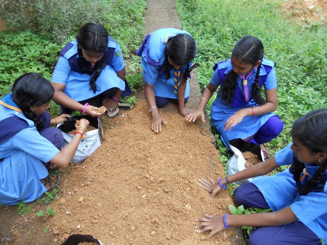 COMMUNITY DEVELOPMENT