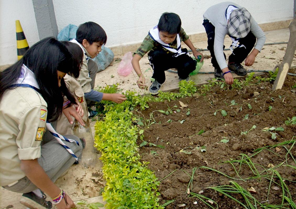 Cuidemos nuestra naturaleza