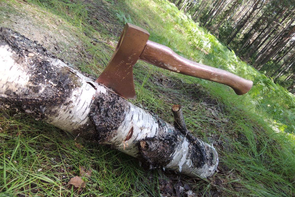 Advanced Wood Badge training for Russian leaders