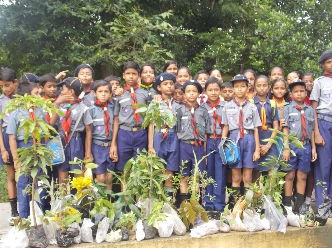 Observing Plantation Week