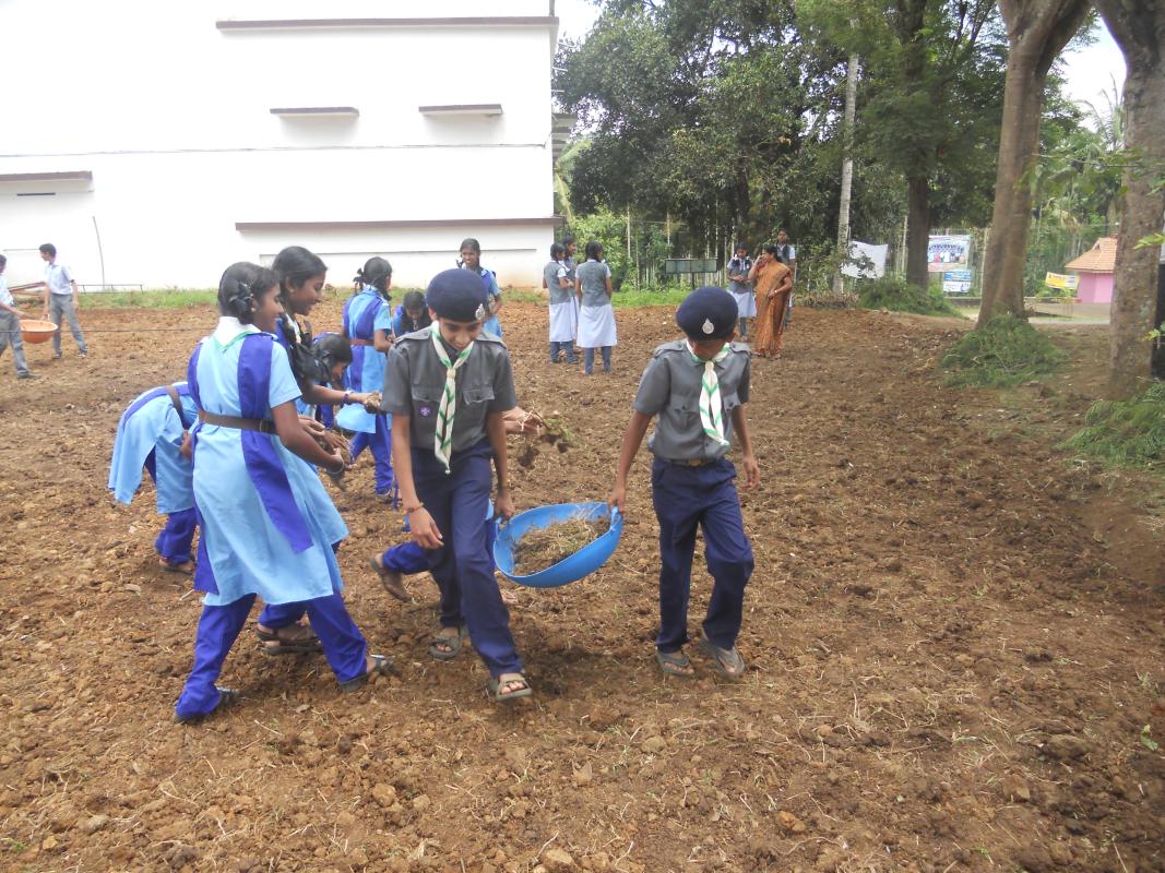 Vegetable Garden