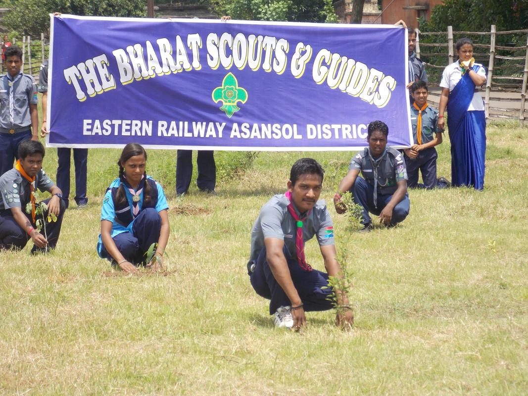 MASS TREE PLANTATION PROGRAMME ON 01/08/14, AT ASANSOL, 