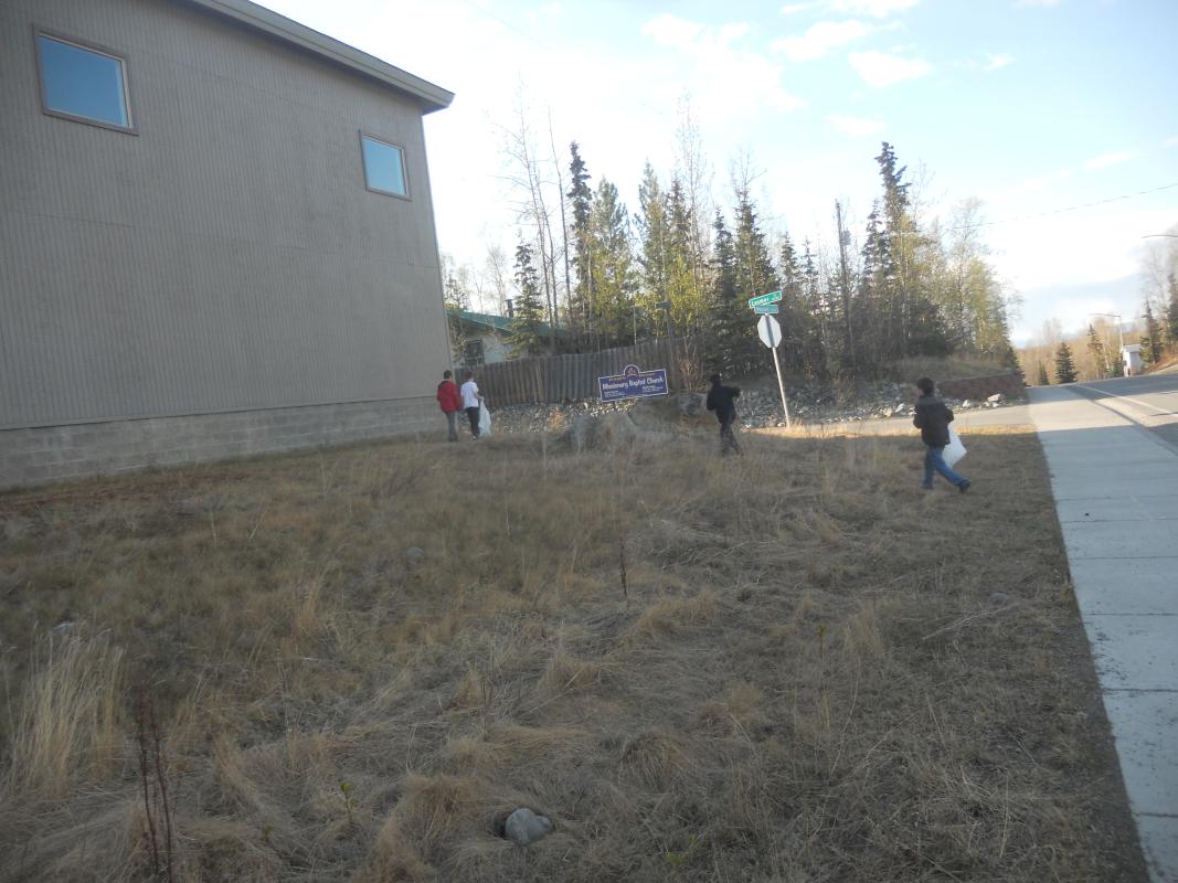 Spring Clean up