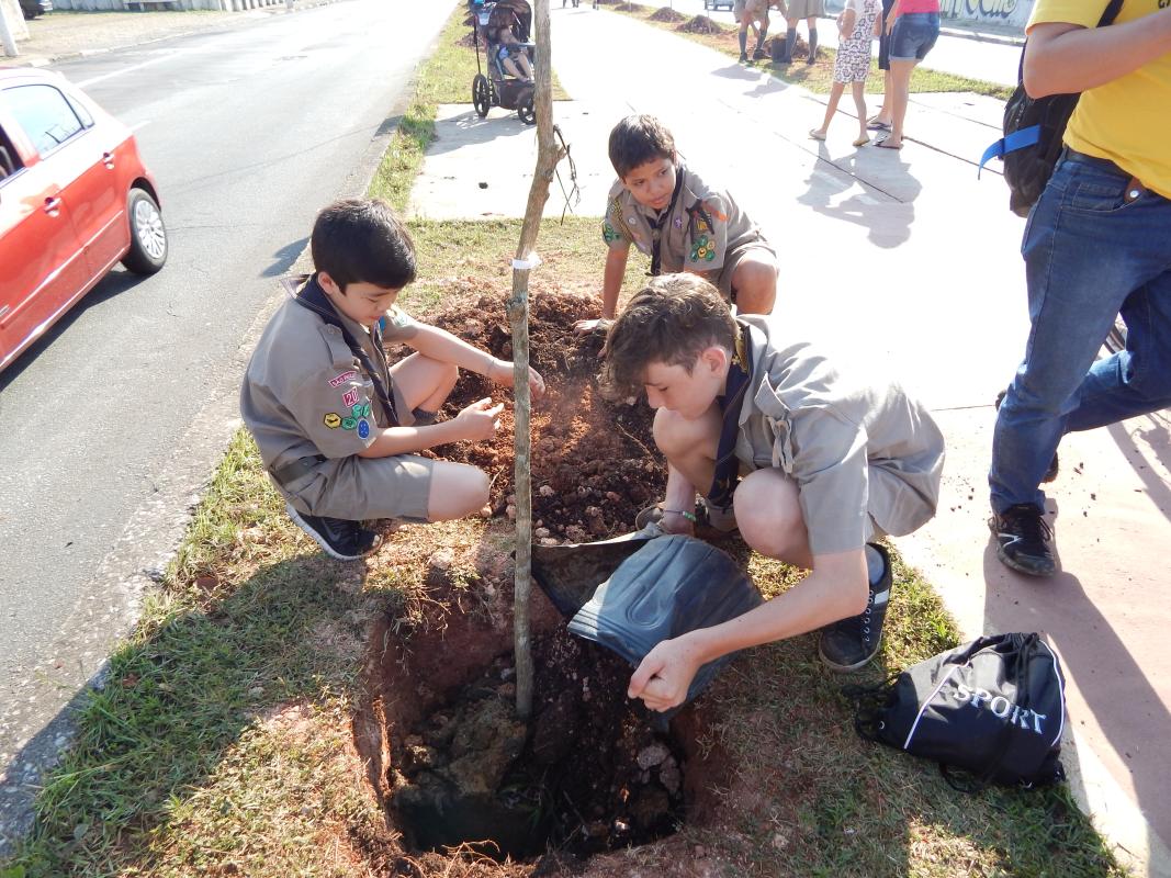 PLANTIO DE ÁRVORES,  AÇÃO COMUNITÁRIA E DE MEIO AMBIENTE