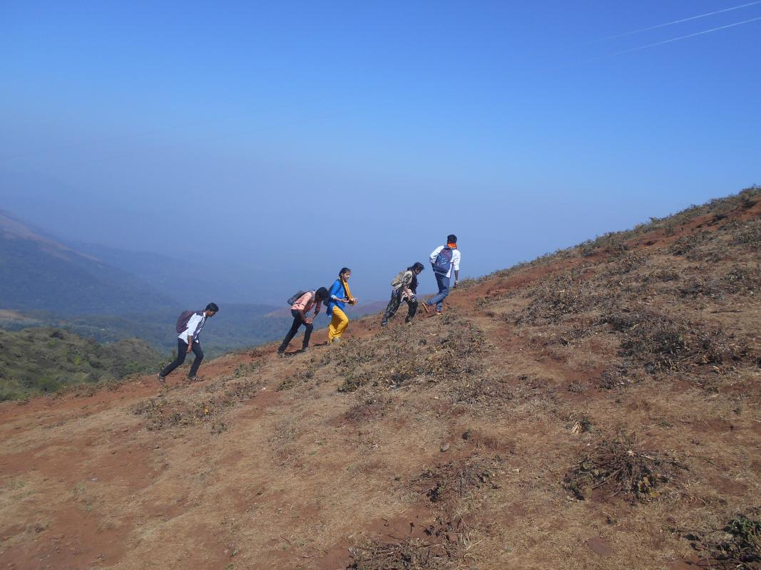 annual tracking