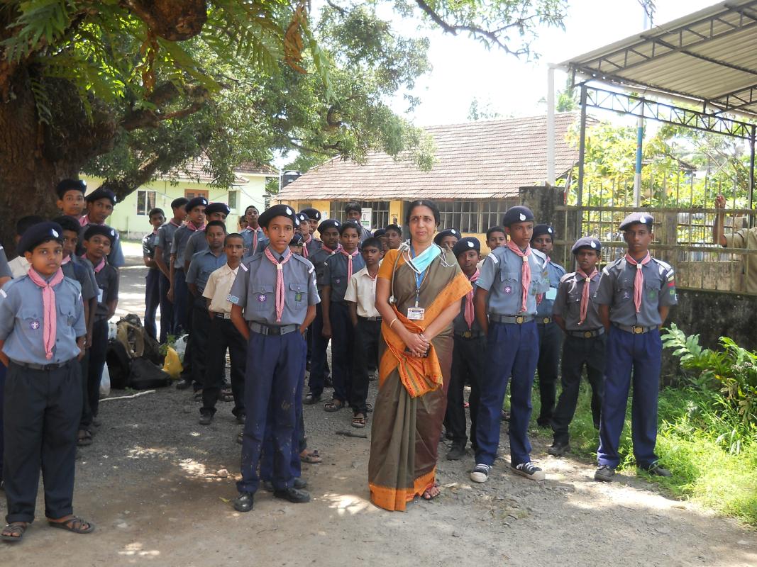 Tree plantation
