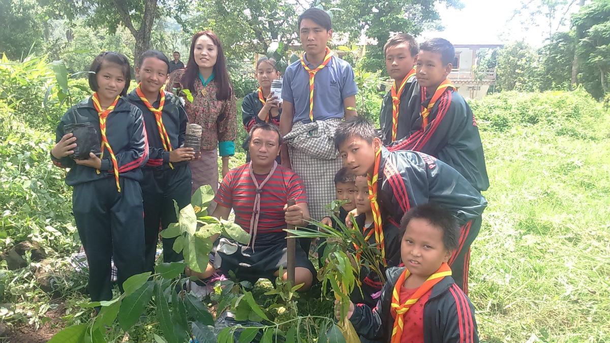 Plantation of fruits sappling 