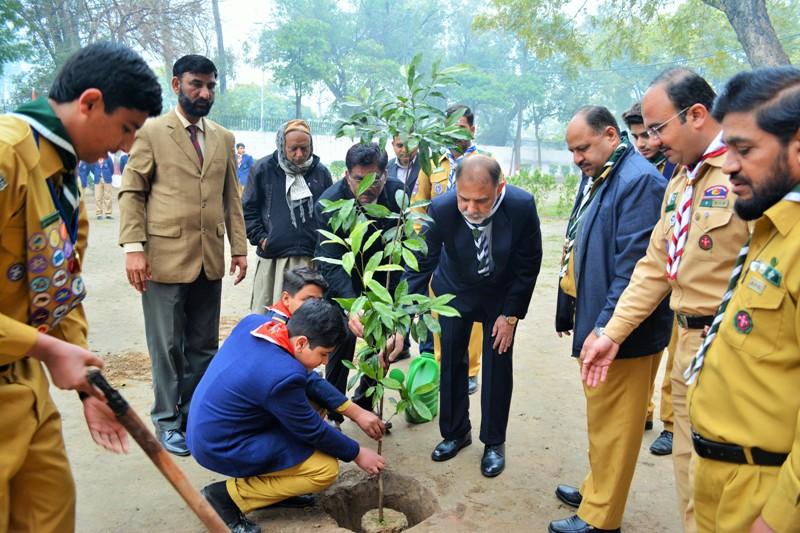 Tree Plantation Project