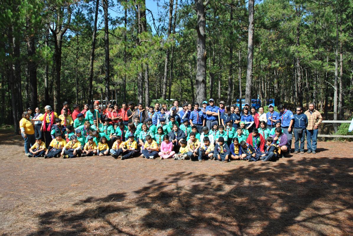 Campaña de reforestación y seguimiento en Bosques de Veracruz.