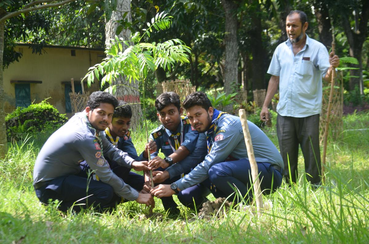 Tree Plantation 
