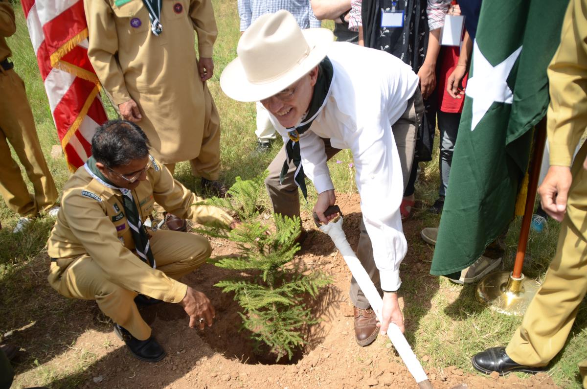Tree Plantation